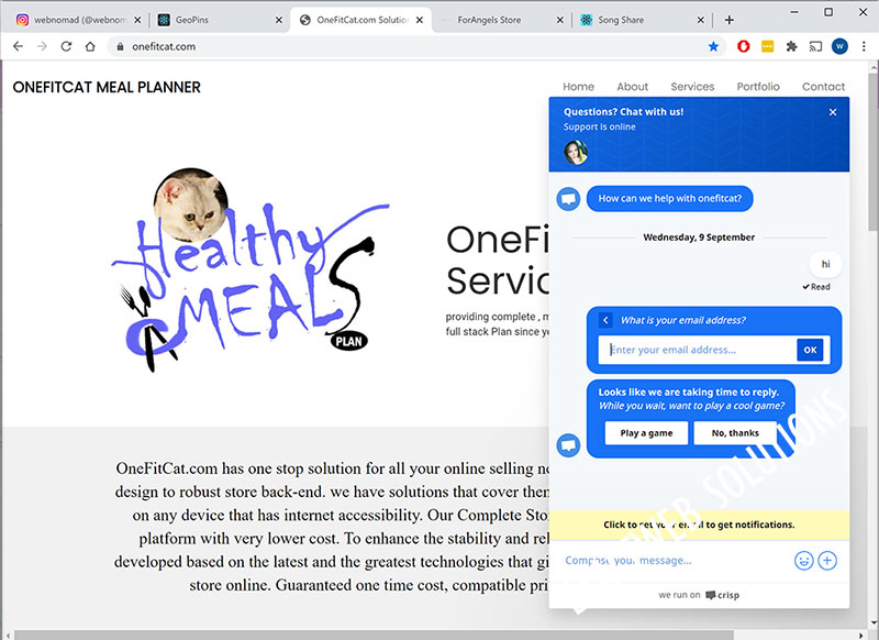 onefitcat